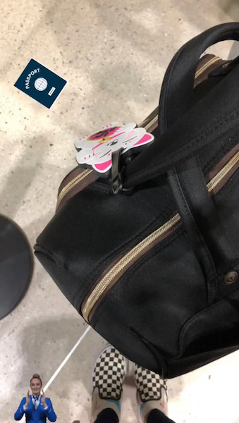 carryon luggage
