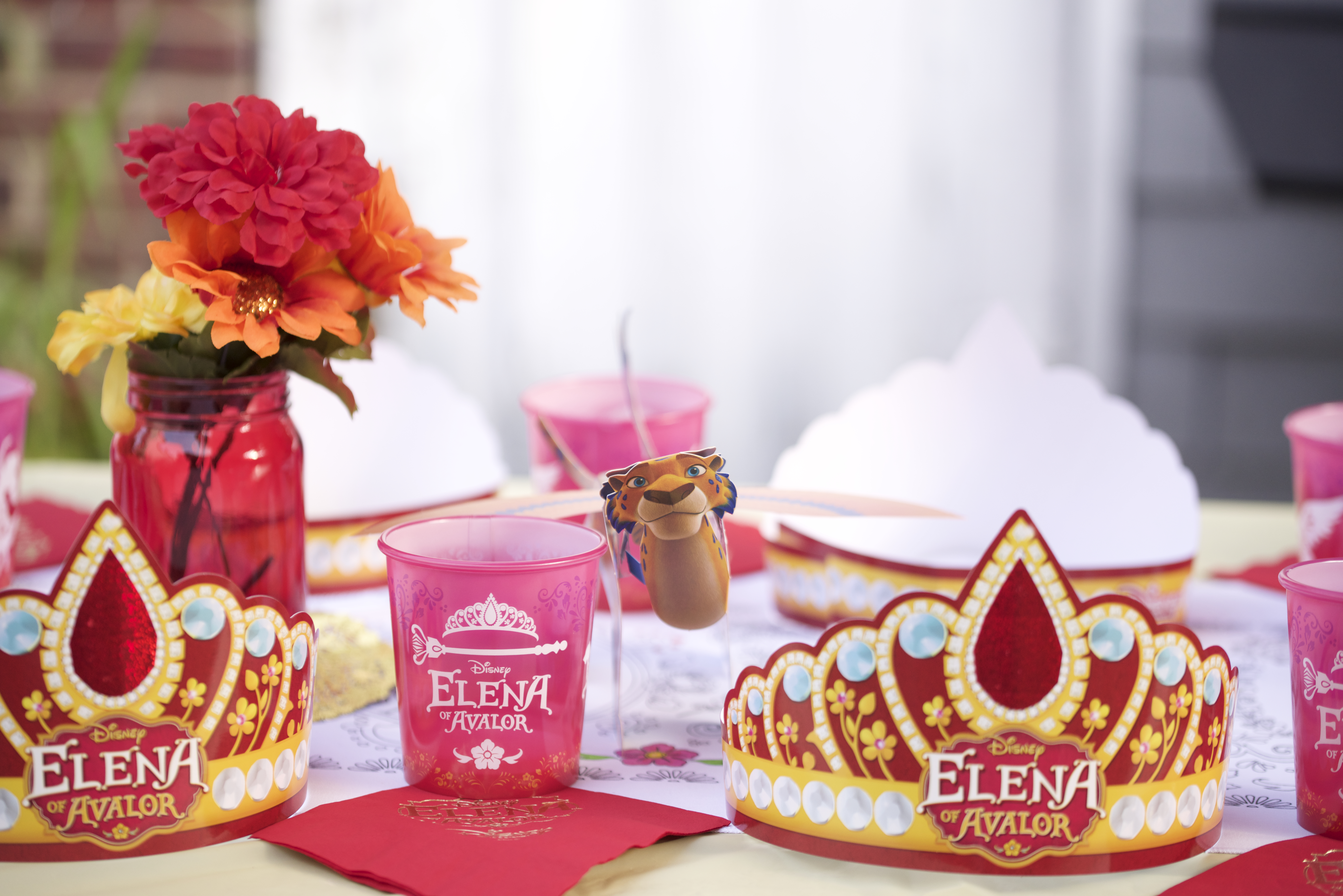 Elena of Avalor Premier Party