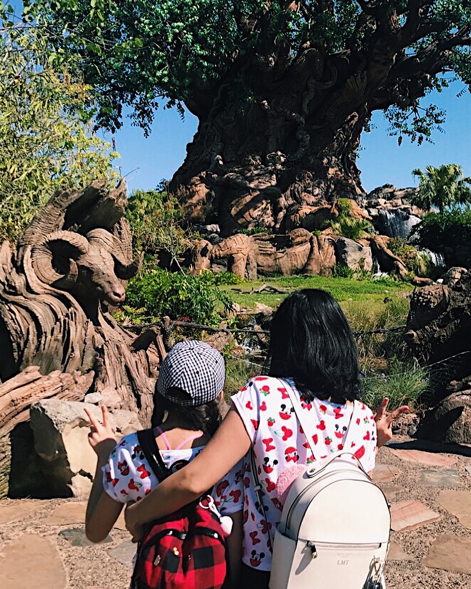 Park Hopping at Walt Disney World