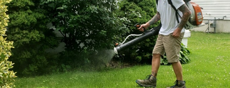 How to Keep Your Home Pest-Free