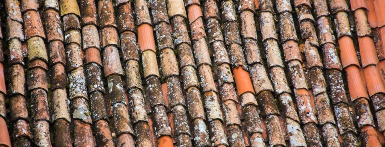 4 Signs Your Roof Needs Repair
